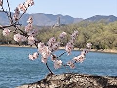 -颐和园