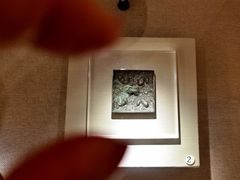 -呼和浩特博物馆