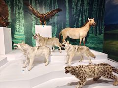 -中国湿地博物馆