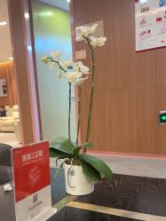 -深圳艺星医疗美容医院