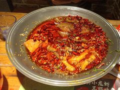 -馋嘴猫北京食堂·烤鸭·宵夜(亚运村店)