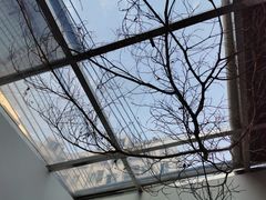 -素咫咖啡CLIFEROSE