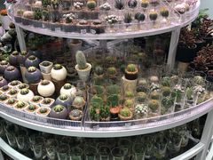 -KKV(深圳宏发大仟里店)