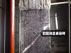 -西安碑林博物馆
