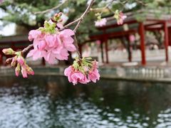 -宝墨园景区