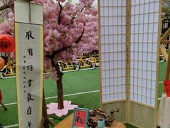 -保利和乐高顿国际幼儿园(龙苑澜岸分园)