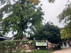 -常熟方塔园