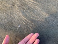 -北海金海湾红树林生态旅游区