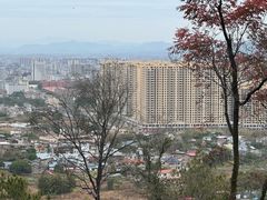 -神光山国家森林公园