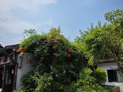 -小河直街历史文化街区