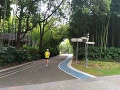 -苏州河梦清园环保主题公园