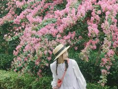 -杭州城北体育公园