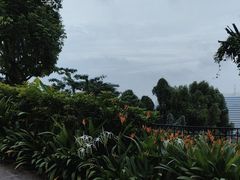 -花柏山公园
