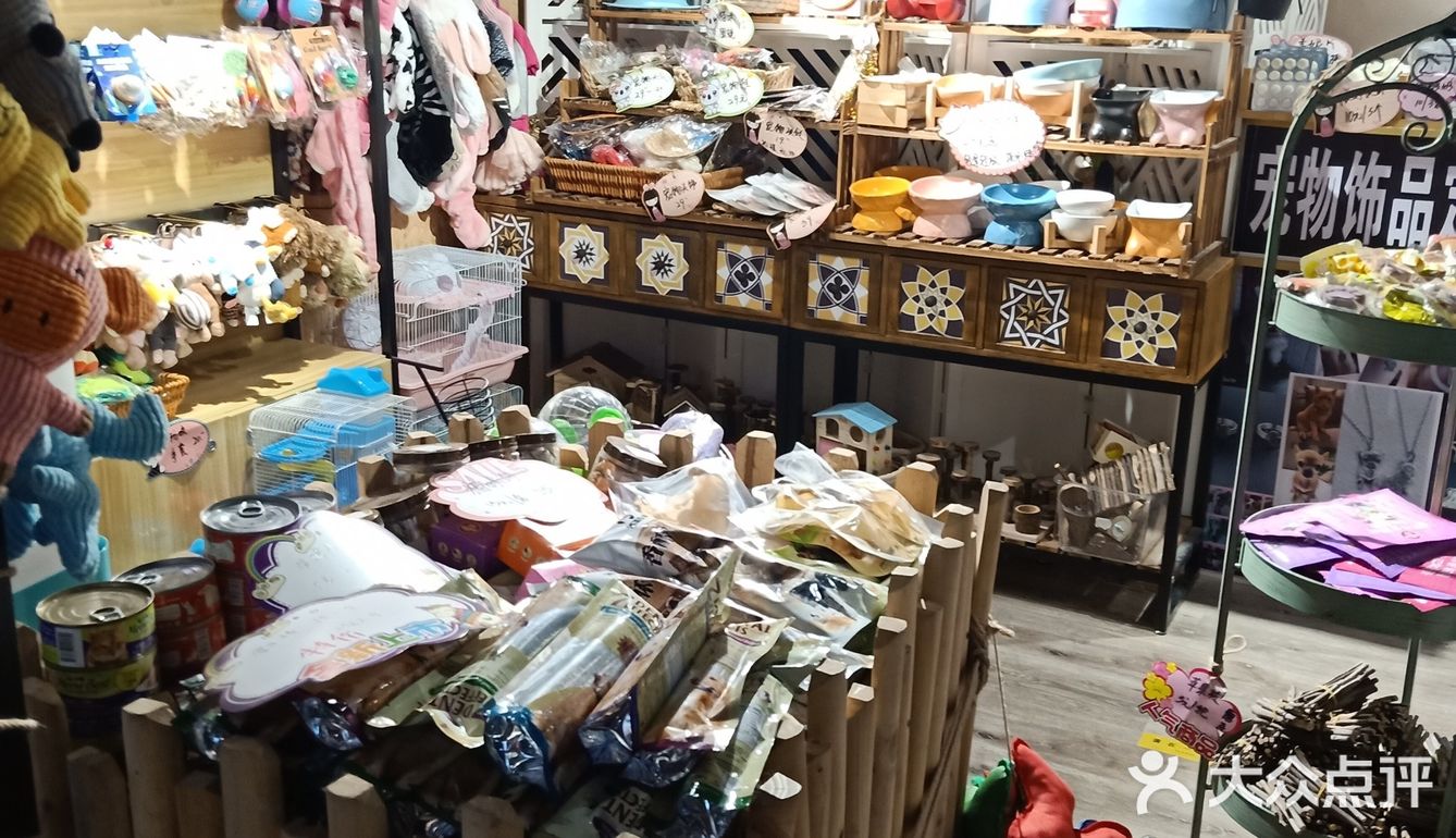 艾玛的萌宠屋位于南开大悦城五号车库内，店里面有仓鼠