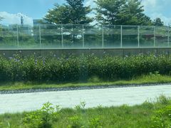 -广州市白云区图书馆