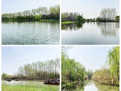 -溱湖国家湿地公园