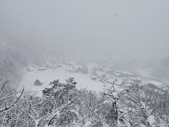 -白川乡与五箇山的合掌构造村落