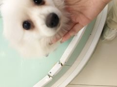 -怪兽屋·羊驼·猫咖·狗咖(俊华广场店)