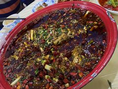 来凤鱼-东吴霸王兔(松青路店)