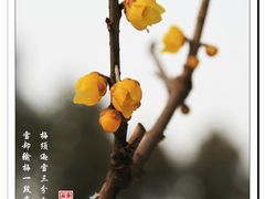 -国家植物园
