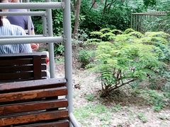 游乐设施-上海共青森林公园