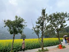 -广州市石门国家森林公园