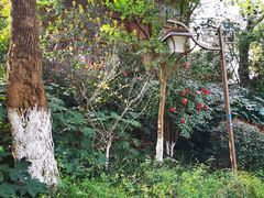 -杭州半山国家森林公园