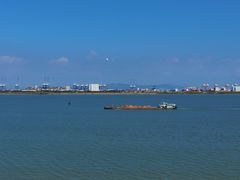 -大湾区中央湿地公园