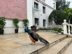 -西昌邛海宾馆
