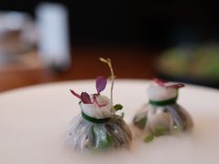 -觀芷隐轩