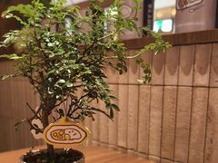 -CURRY YA 熟成咖哩專門店(深圳湾万象城店)