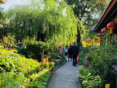 -白家大院·王府宫廷菜(苏州街店)
