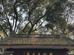 -韬光茶庵