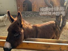 -HERRE·FARM 赫尔露营农场·团建聚会包场