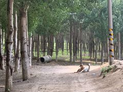 -东郊湿地公园