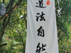 -青城山