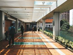 -香港大学