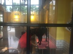 -西元前宠物酒店(郑庄府邸店)