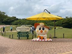 -济州森林小火车生态公园