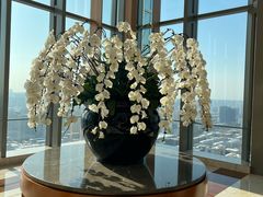 -视界美食自助餐厅·石家庄希尔顿酒店