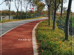 -上海长兴岛郊野公园