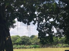 -小洲村