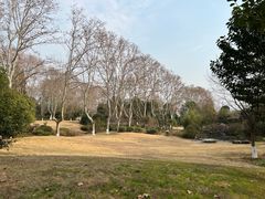 -习家池
