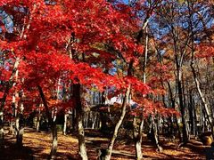 -轻井泽高原教堂