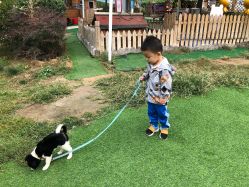 -萌宠亲子动物乐园(槐房万达店)