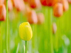 -长春公园(普阳街道)