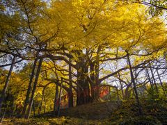 -虞山风景区