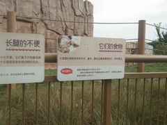-武汉动物园
