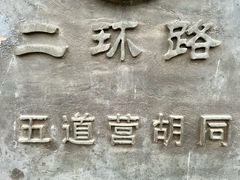 -Tubestation站点比萨(五道营店)