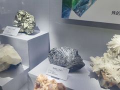 -湖南省地质博物馆